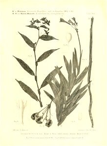 n394_w1150