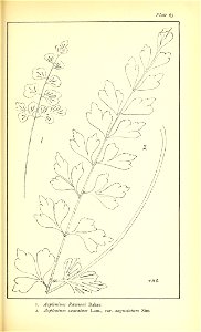 n524_w1150