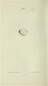 n207_w1150