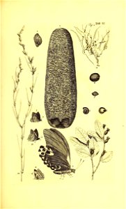 n102_w1150