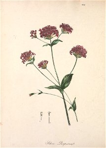 n195_w1150