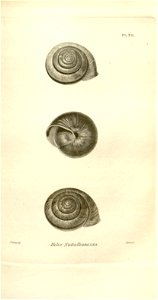 n548_w1150