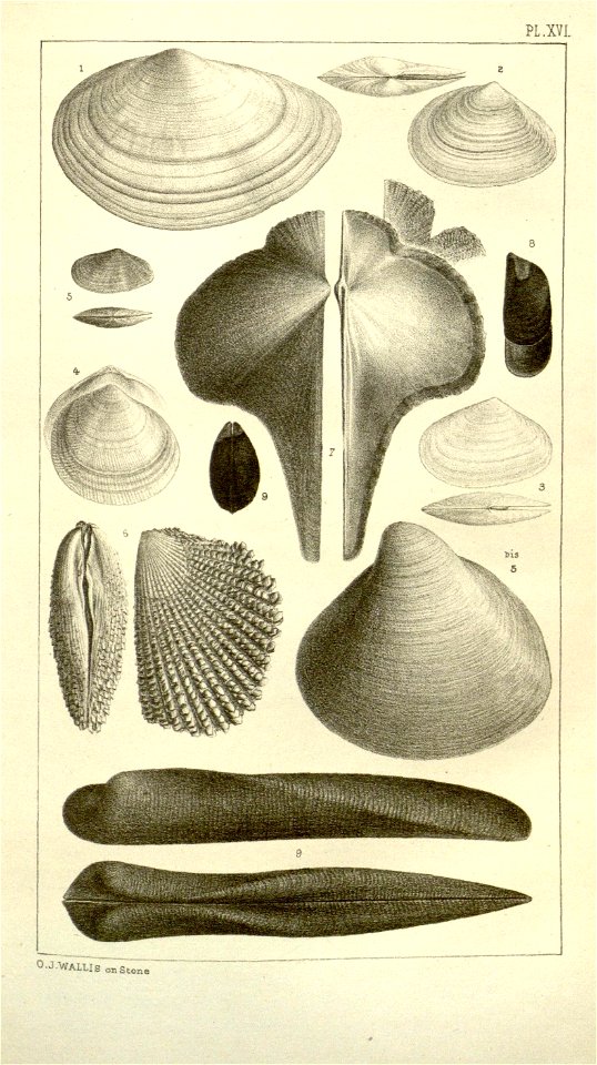 n424_w1150
