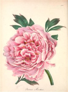 n69_w1150