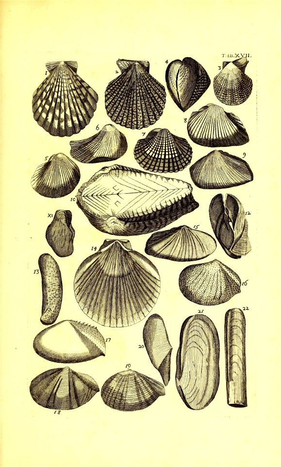 n426_w1150