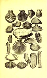 n426_w1150