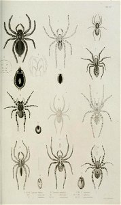 n564_w1150