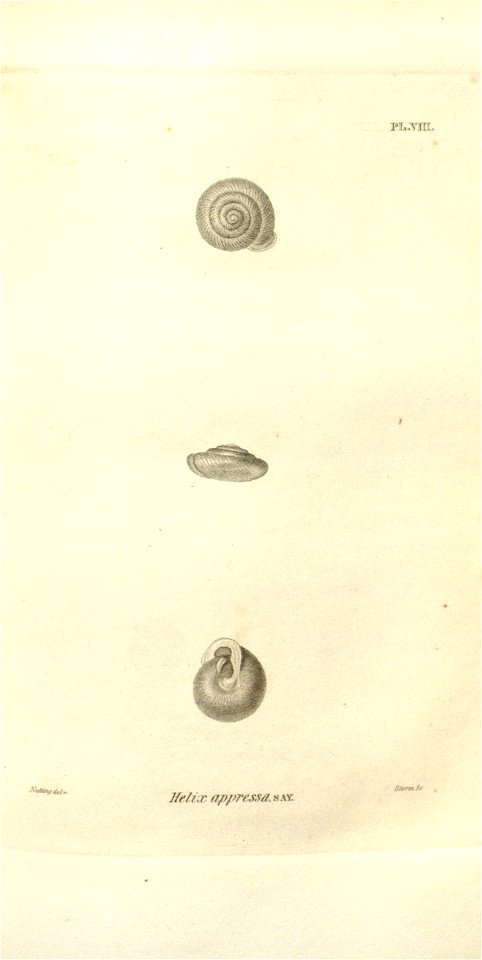 n544_w1150