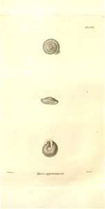 n544_w1150