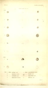 n558_w1150