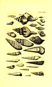 n418_w1150