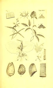 n118_w1150