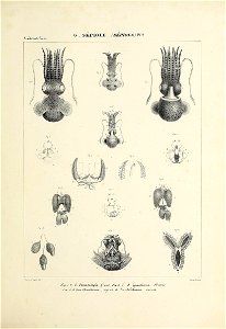 n122_w1150