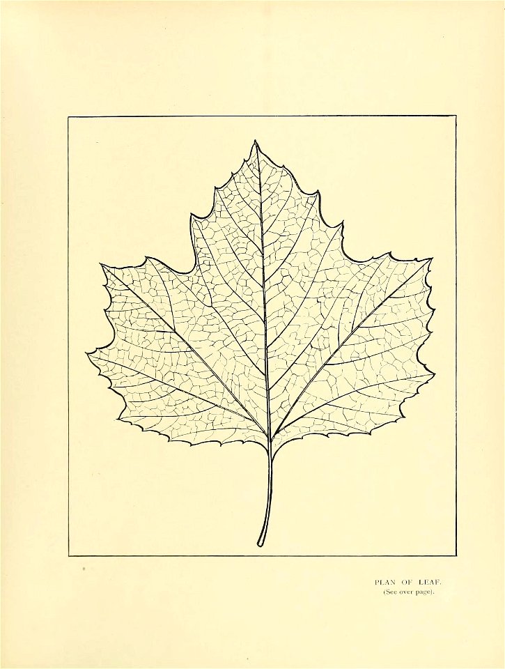 n342_w1150