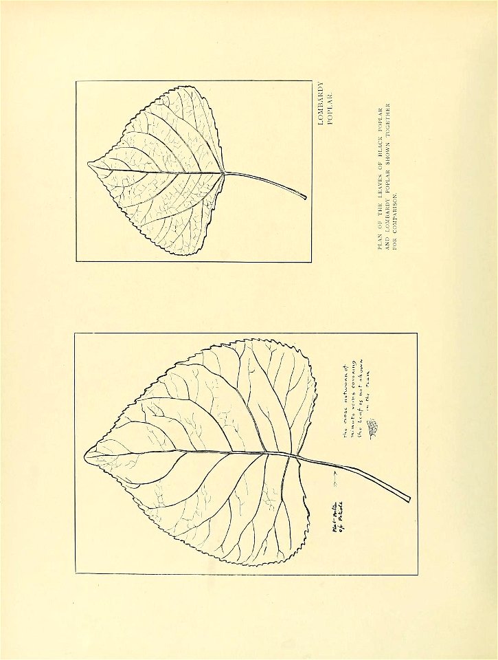 n301_w1150