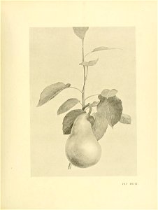 n258_w1150