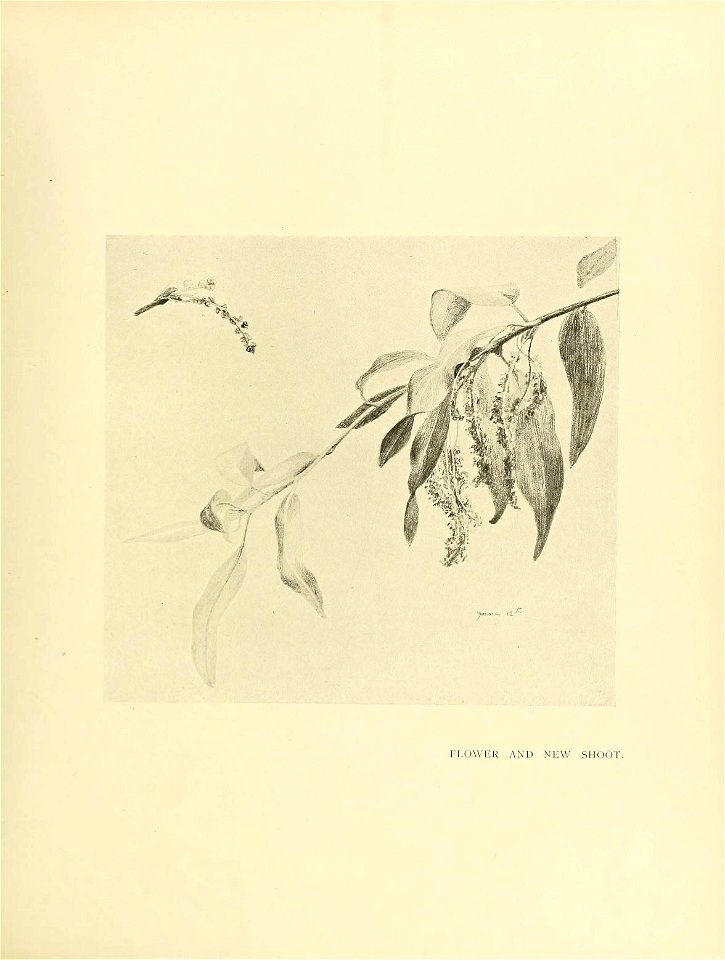 n218_w1150