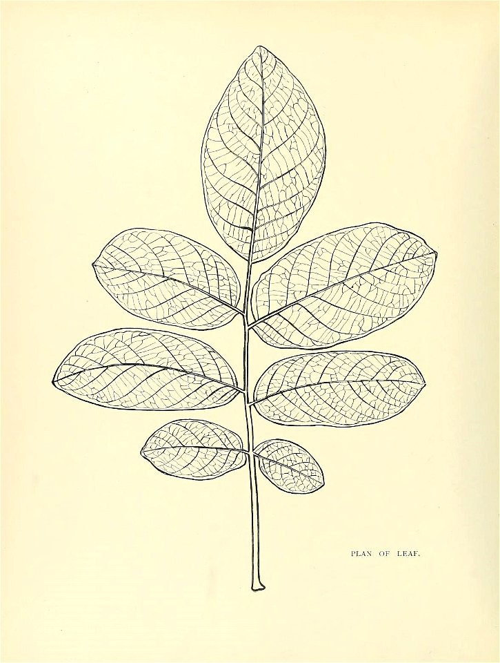 n69_w1150