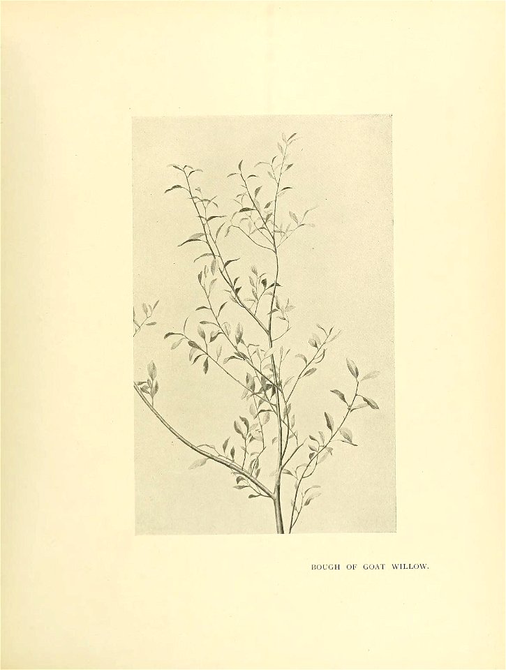 n118_w1150