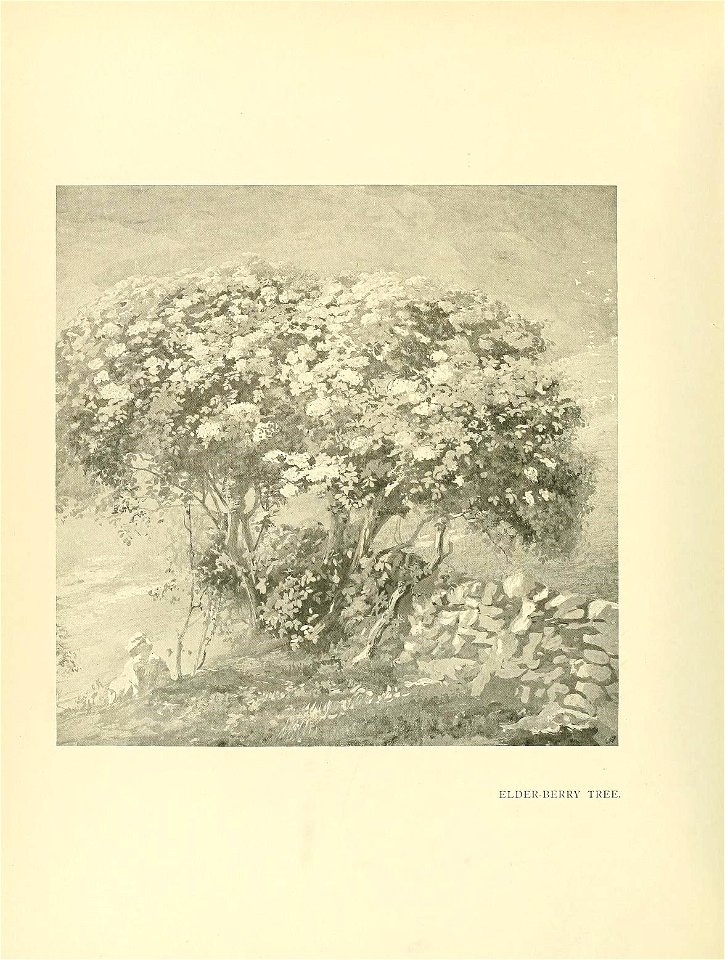 n21_w1150