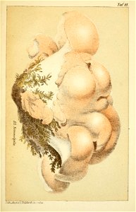 n258_w1150