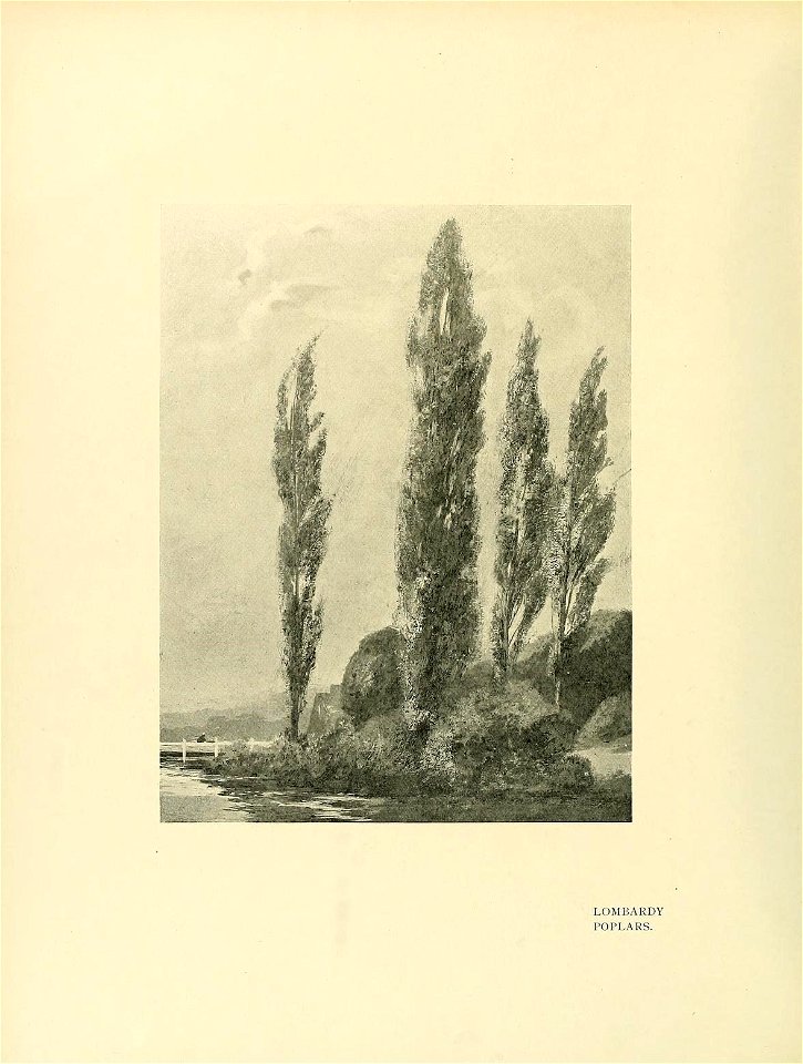 n297_w1150