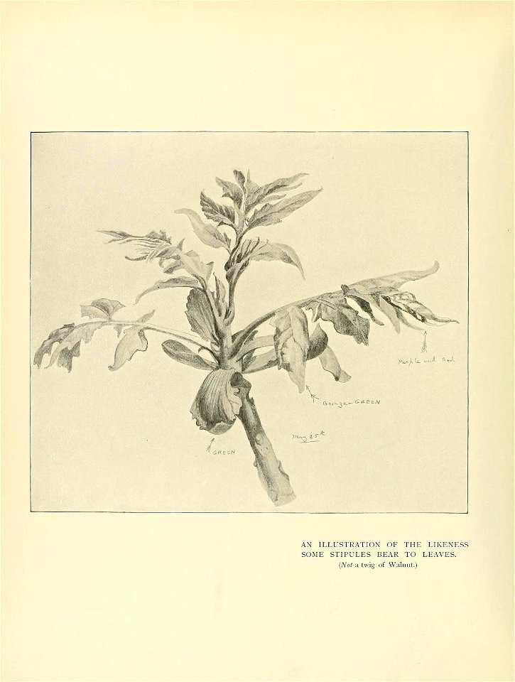 n67_w1150