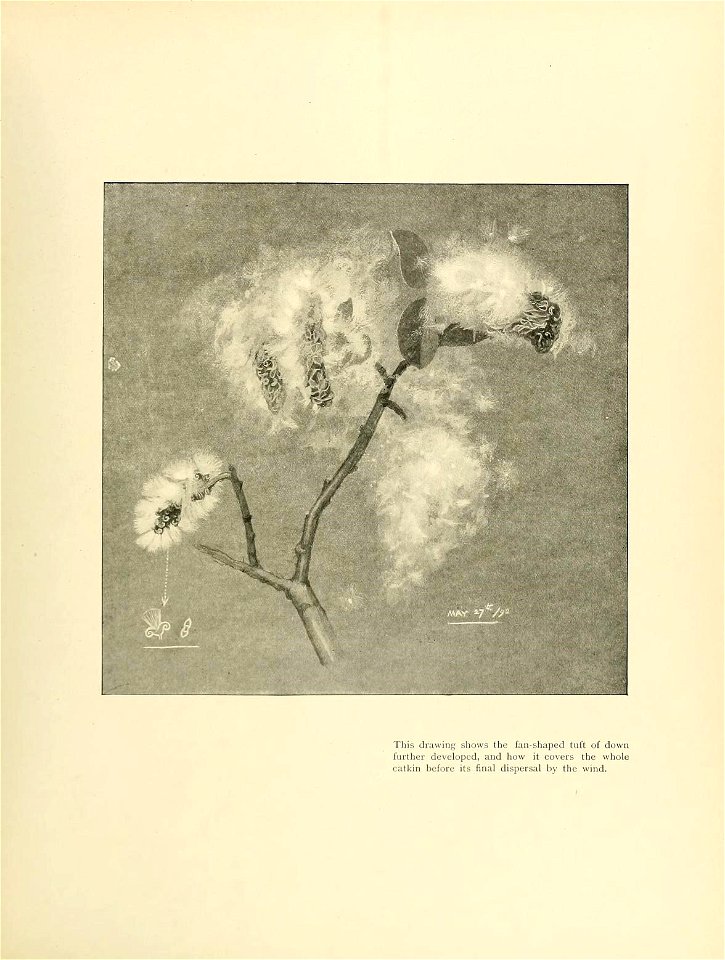 n116_w1150