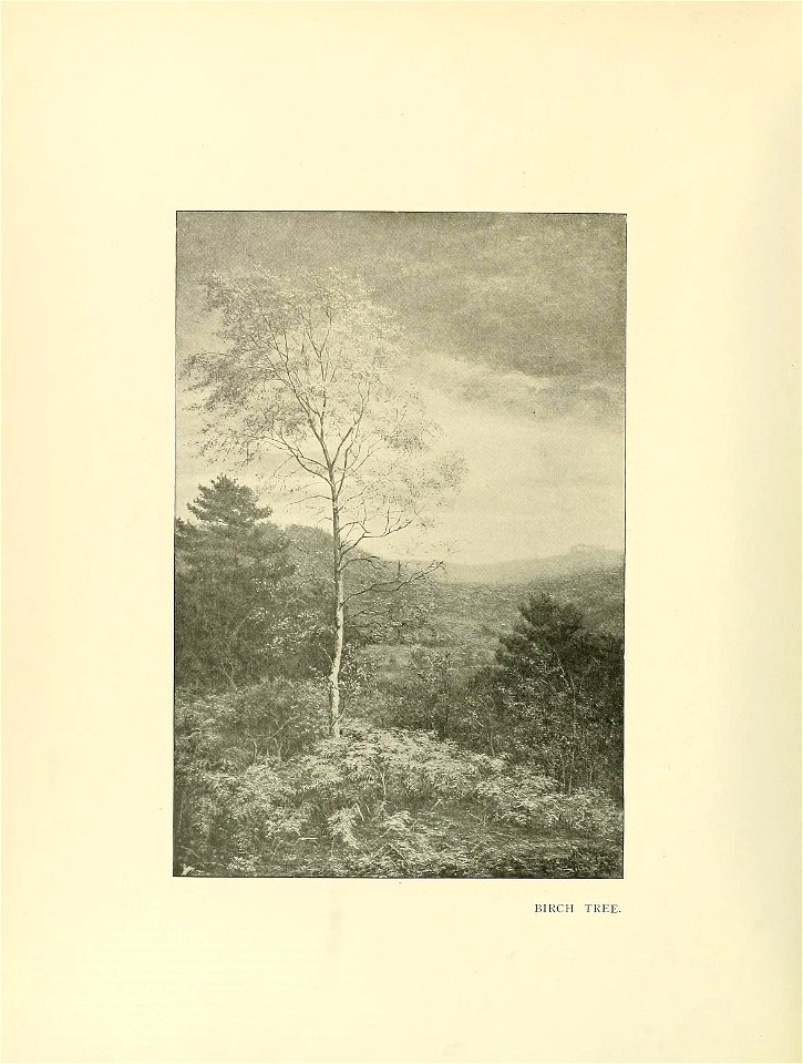 n19_w1150