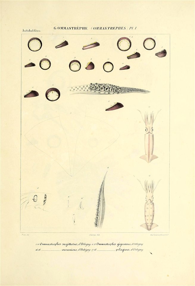 n294_w1150