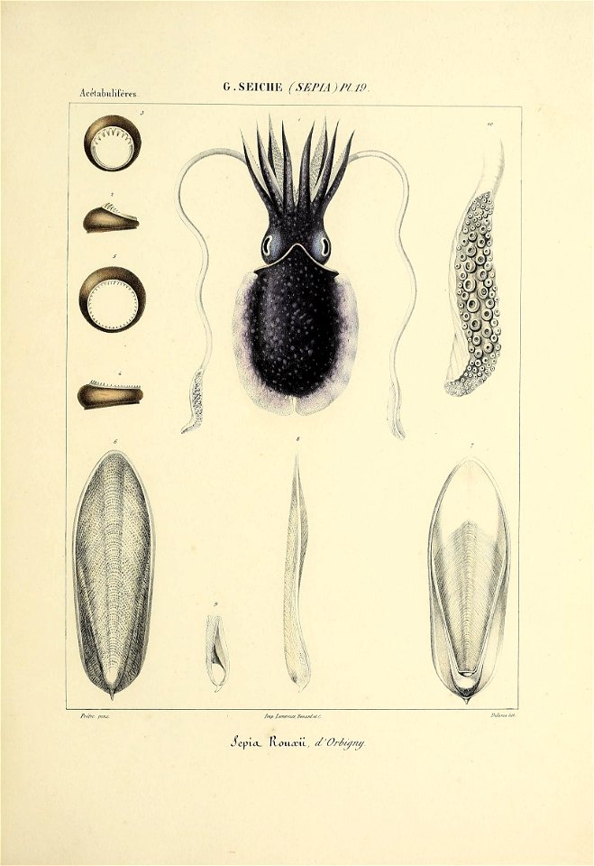 n174_w1150