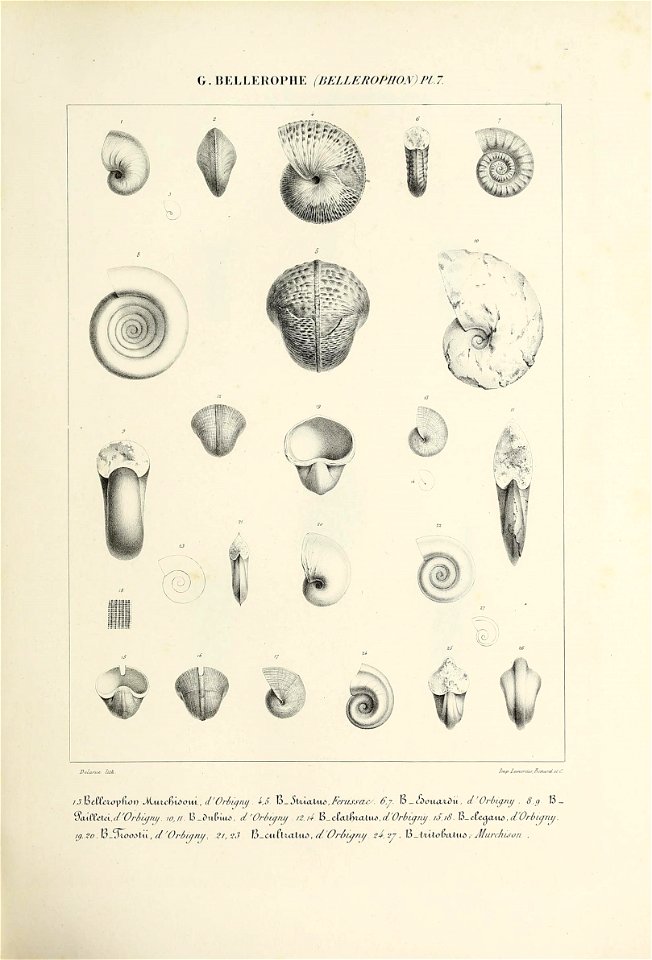 n114_w1150