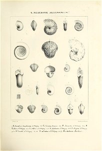 n114_w1150