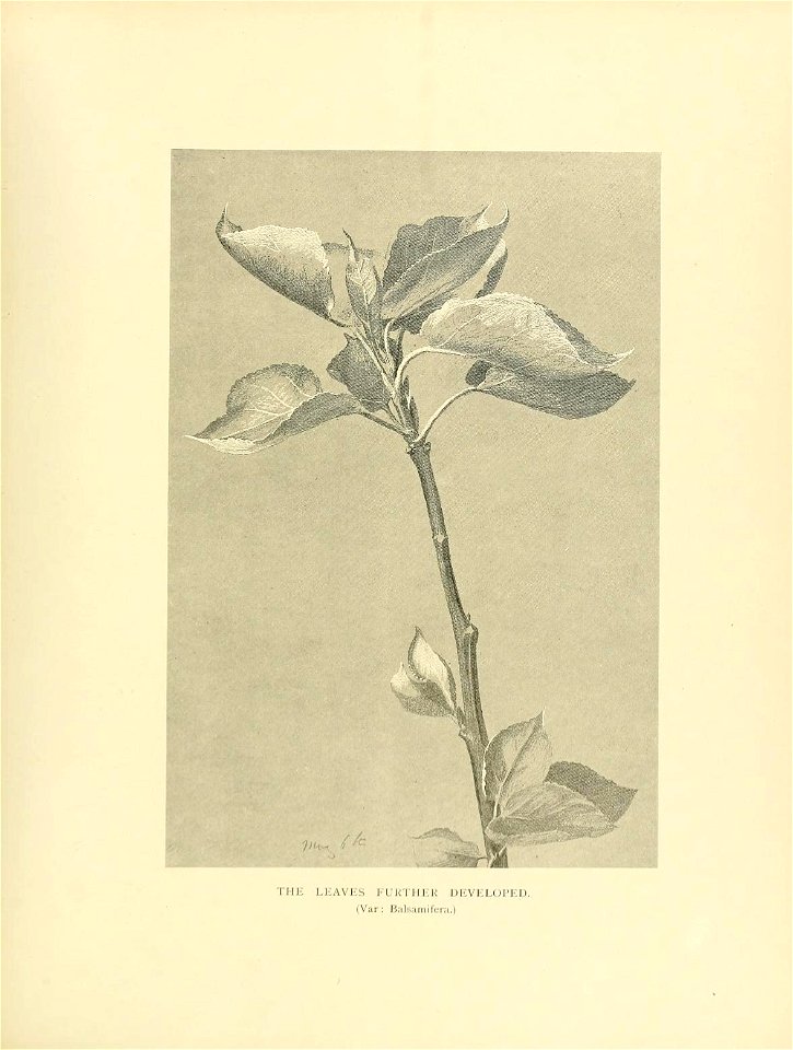 n292_w1150