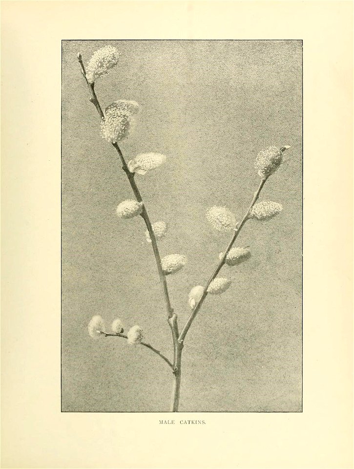 n110_w1150