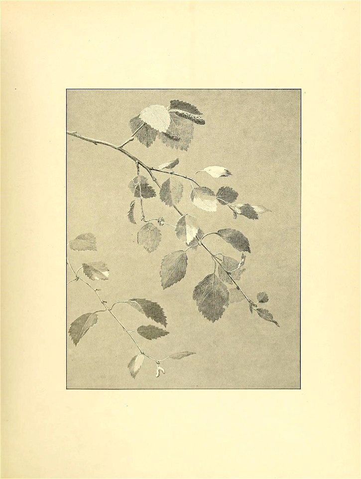 n14_w1150