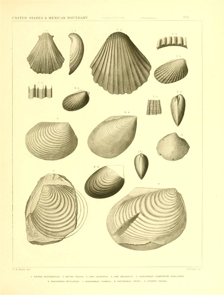 n196_w1150