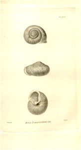 n549_w1150