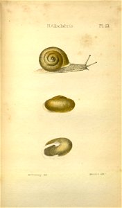 n551_w1150