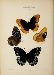 n119_w1150