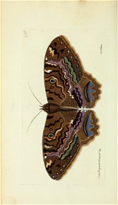 n89_w1150