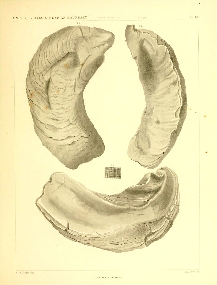 n222_w1150