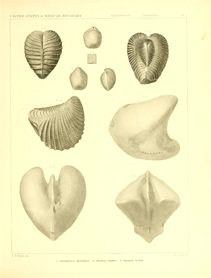n192_w1150