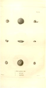 n547_w1150