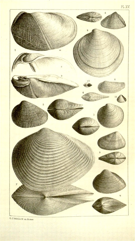 n423_w1150