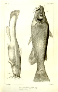 n463_w1150