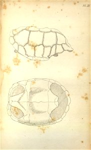 n549_w1150