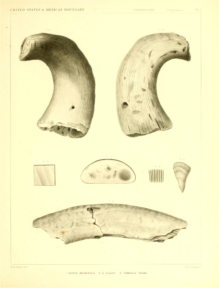 n190_w1150