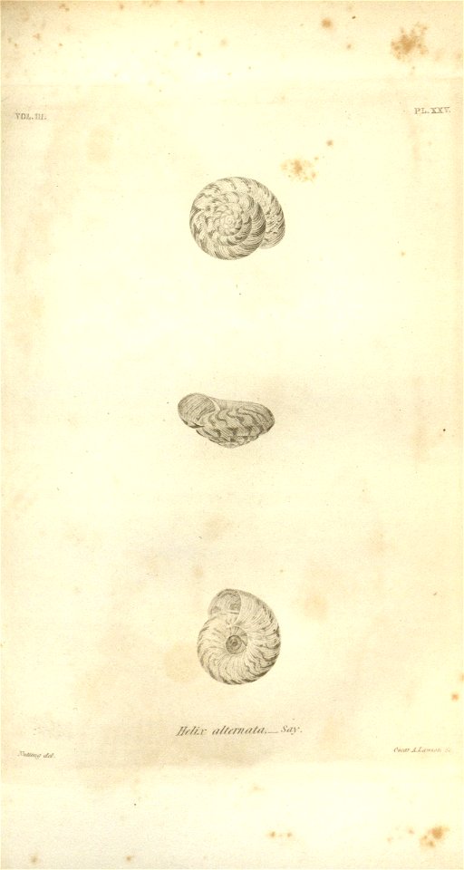 n561_w1150