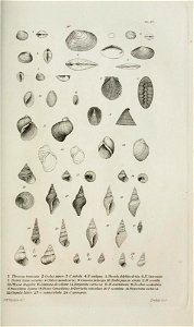 n154_w1150